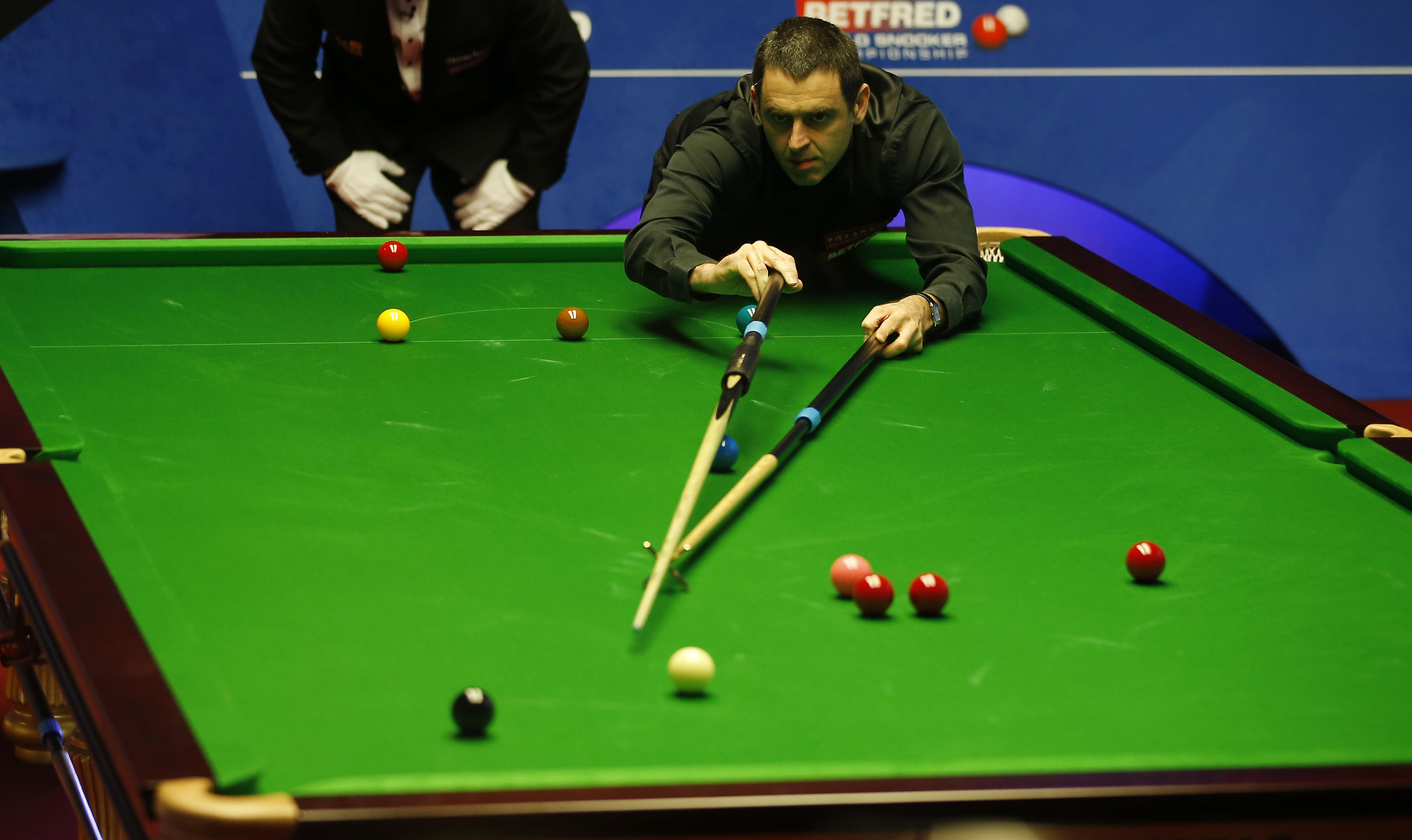 是浙江队与 是浙江队与