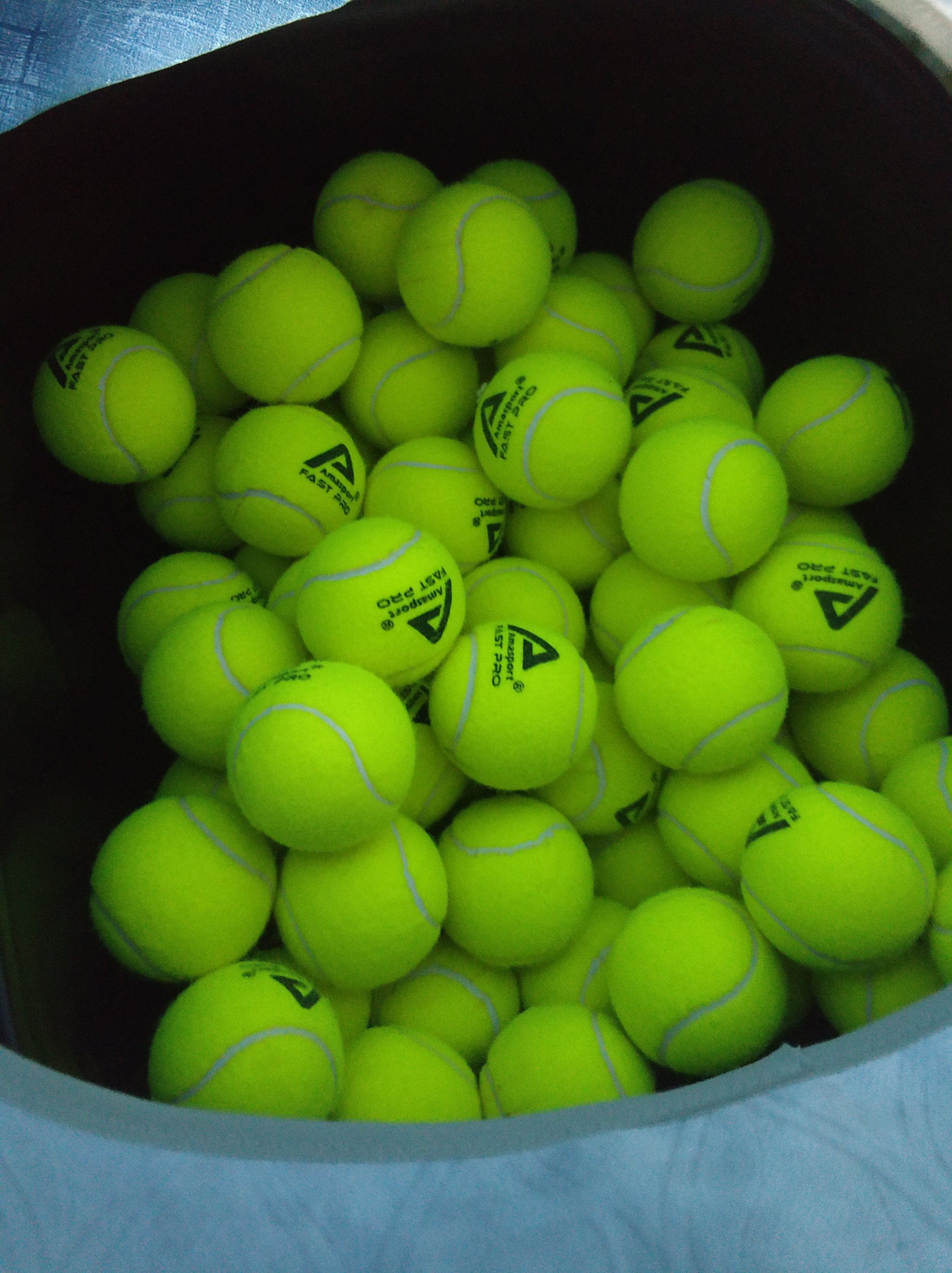 就可能掌握 就可能掌握